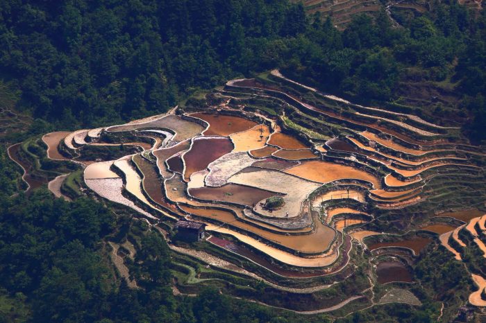 2024 Sisters’ Meal Festival in Guizhou