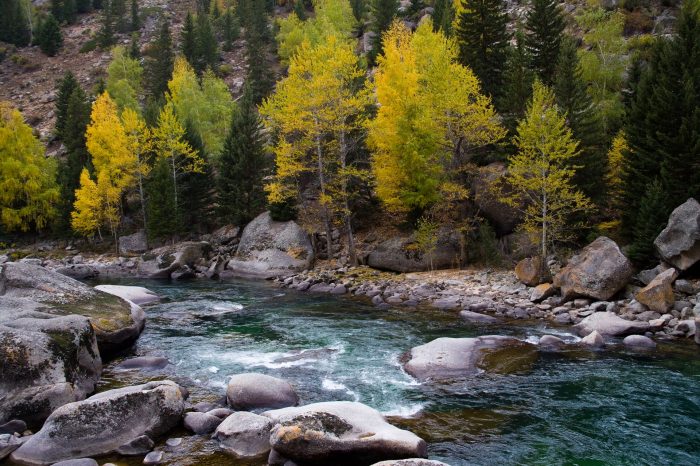 The beauty of northern xinjiang