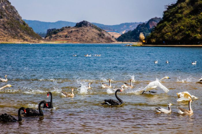 peaks, caves, lakes, villages, Karst wetland and waterfall