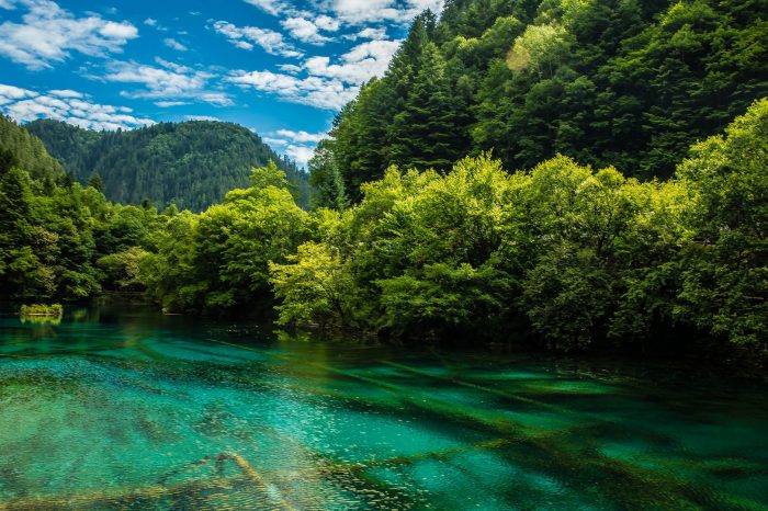 Jiuzhaigou, Huanglong, Zhagana and Yellow River