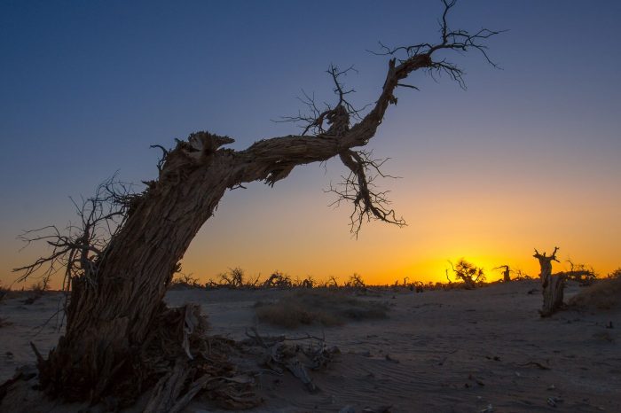 Explore both South and North of Xinjiang