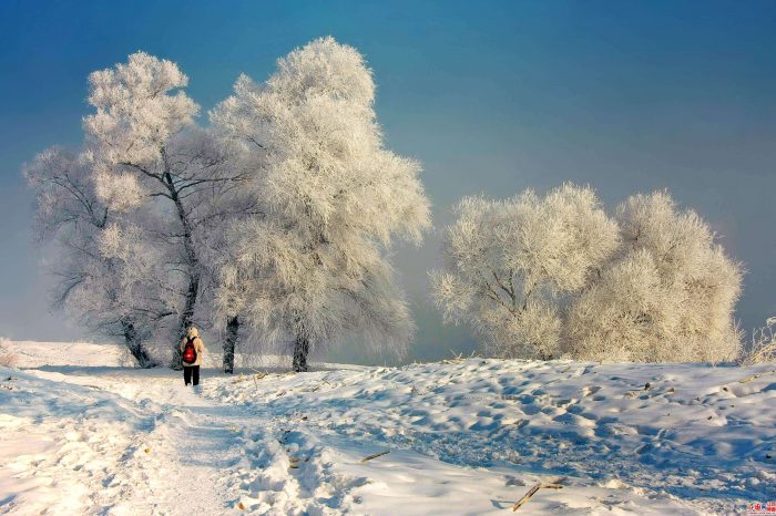 Fantasyland of Snow and Rime Island in Northeast China