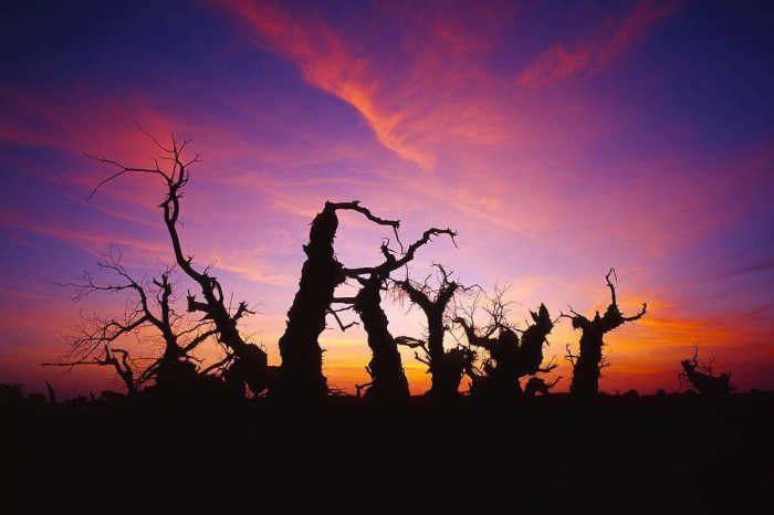 The Charm of Southern Xinjiang