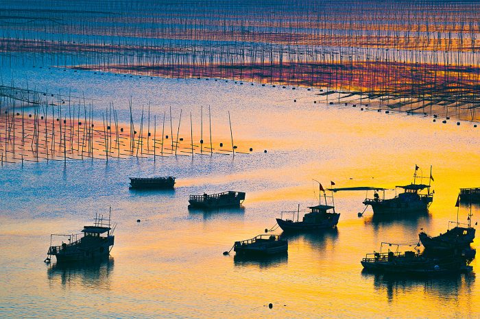 Xiapu’s Mudflats and Traditional Countryside Life