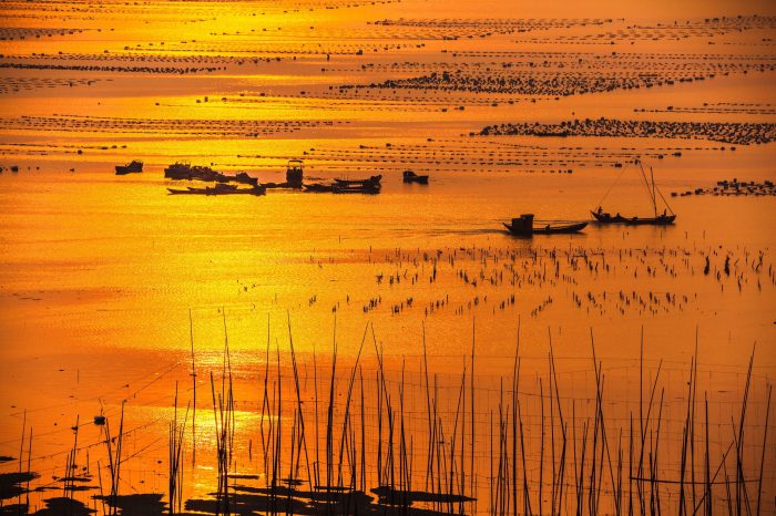 Xiapu mudflats and Fujian Tulou