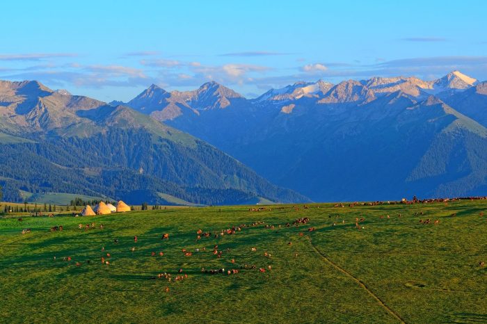 Kalajun, Sayram Lake, Nalati and Bayanbulak Grassland