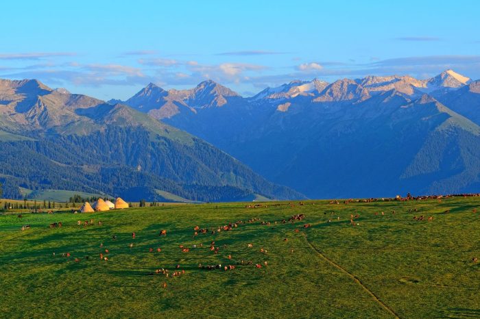 Kalajun, Sayram Lake, Nalati and Bayanbulak Grassland