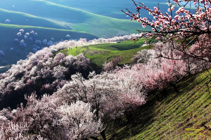 Grand canyon, Sayram Lake and Apricot Valley