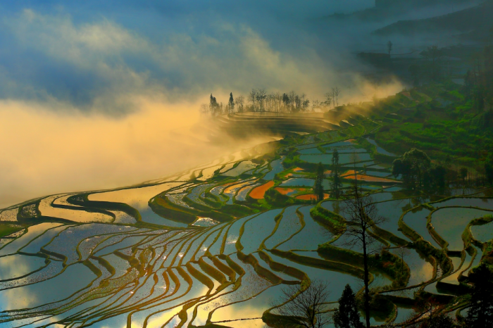 Photography of Dongchuan Red Land ＆ Yuanyang Terraces