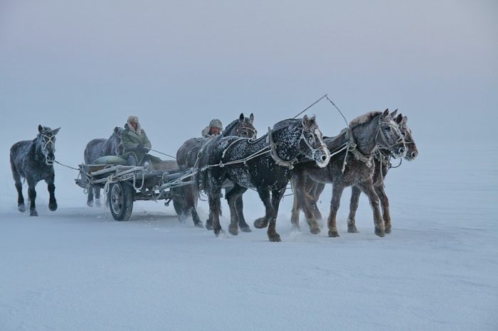 Harbin ice festival, chagan lake winter fishing and rime island