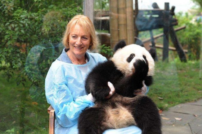 Panda Holding Program