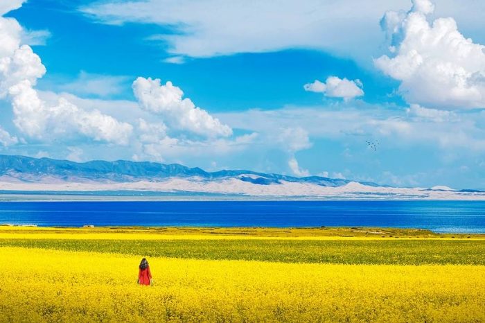 China Adoptee Tour in  Qinghai Province