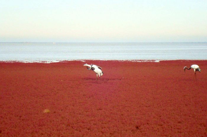 China Homeland Tour Heritage for adoption from Liaoning Province